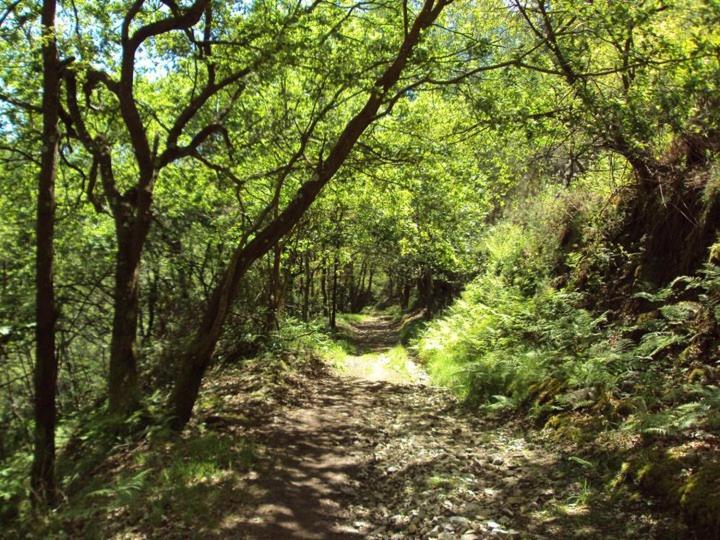 Albergue Valle Del Nonaya سالاس المظهر الخارجي الصورة